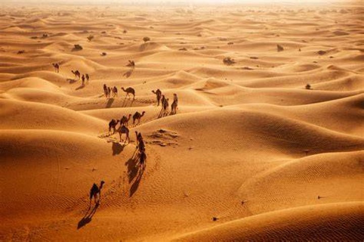 Saudi Arabia's Al Saud family named world's fourth richest
