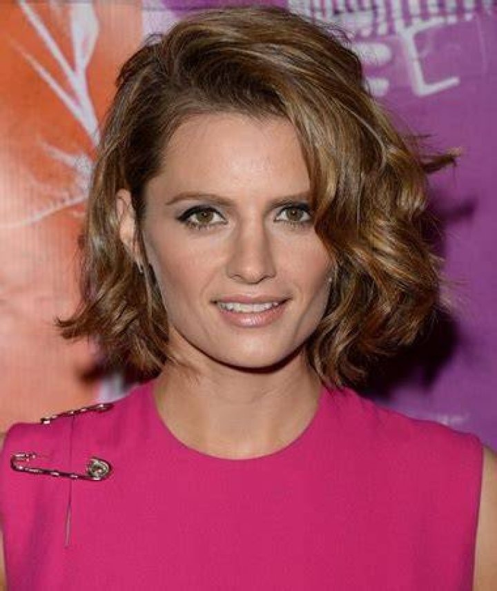 Stana katic Wiki, Height, Age, Boyfriend, Family, Biography & Facts